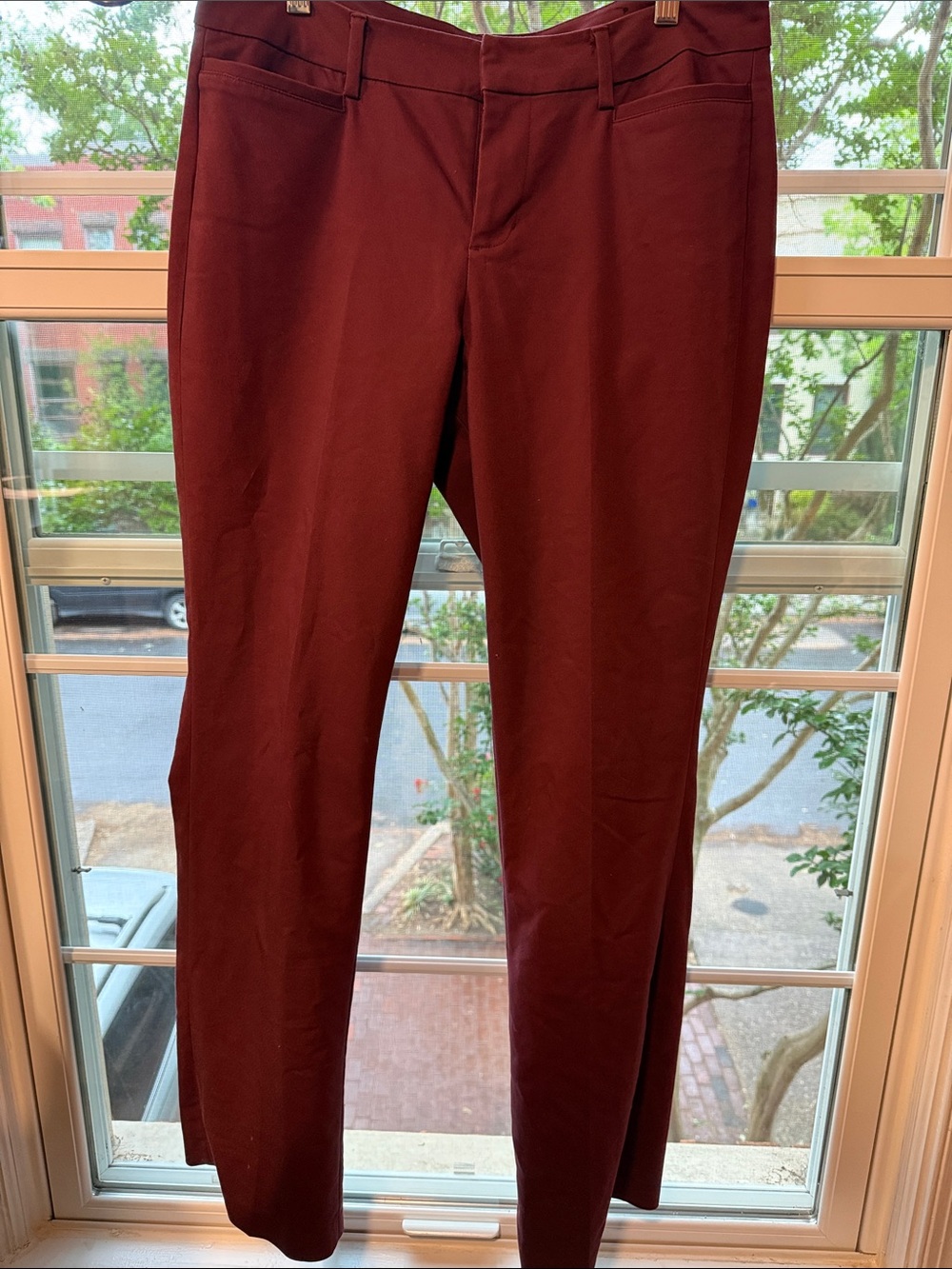 Liverpool Jeans Company Men's Dress Pants in Wine Red